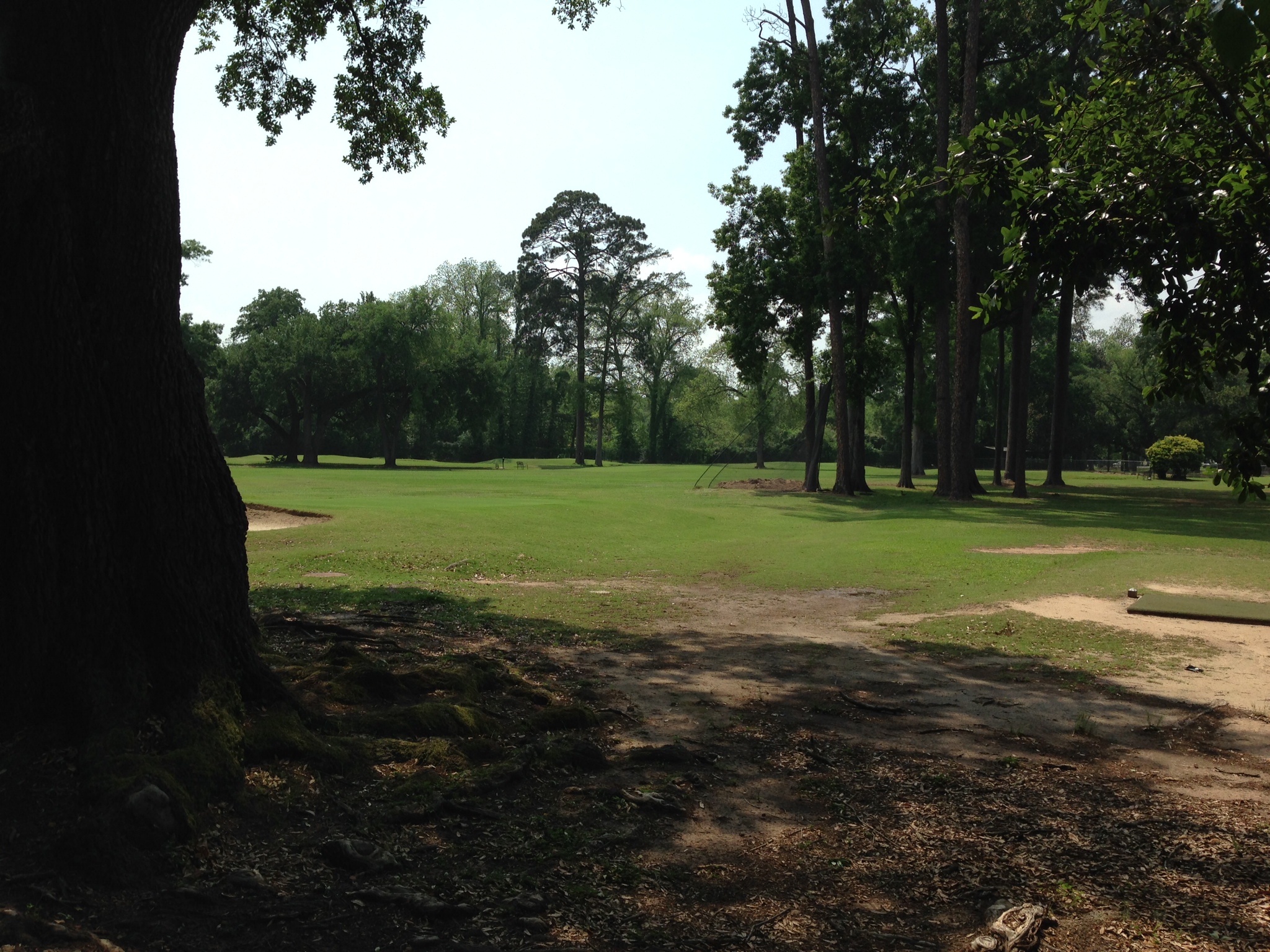 Bringhurst Golf Parks & Recreation Alexandria, LA